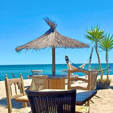 T3 Grande Terrasse Bord De Mer Le Barcarès Екстериор снимка