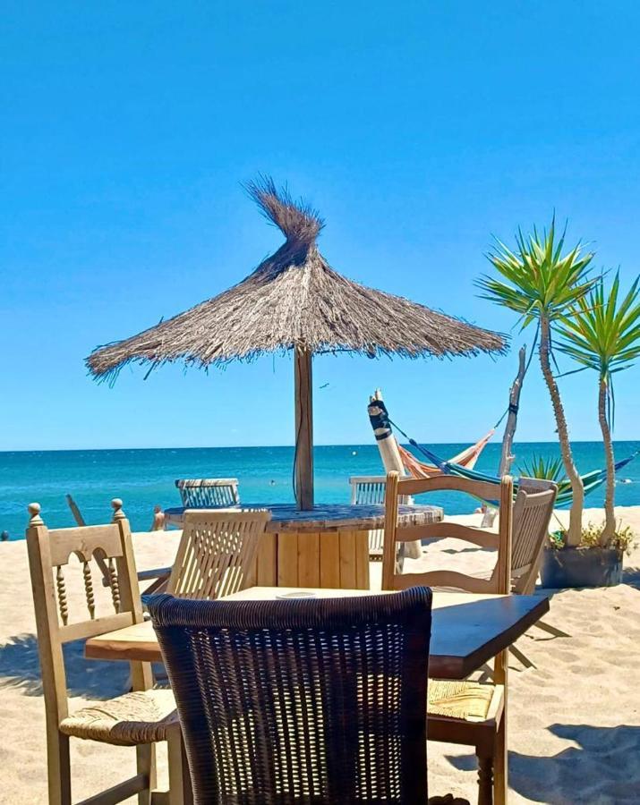 T3 Grande Terrasse Bord De Mer Le Barcarès Екстериор снимка